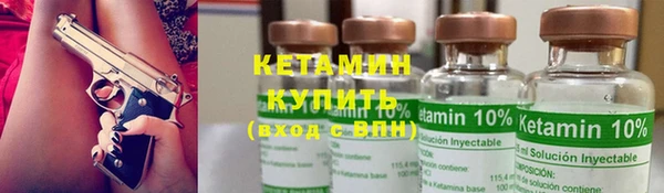 стаф Алзамай