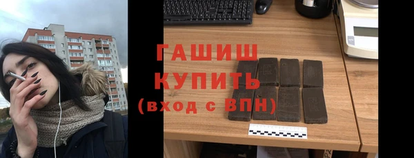 стаф Алзамай