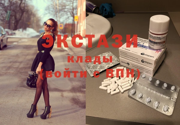 стаф Алзамай