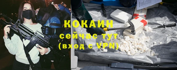 стаф Алзамай