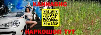 ешки Гагарин