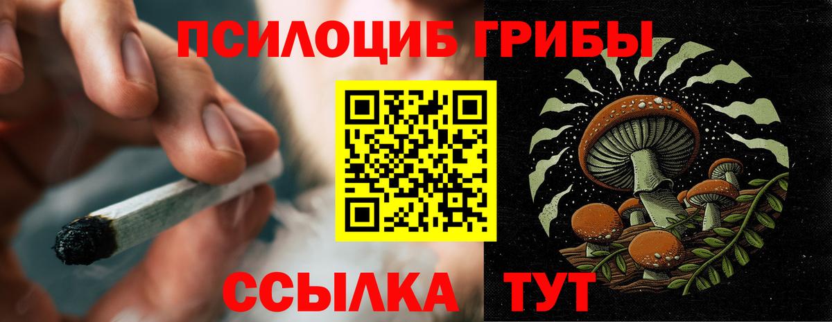 Галлюциногенные грибы GOLDEN TEACHER Саянск