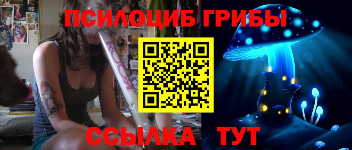 Псилоцибиновые грибы Cubensis  Псилоцибиновые грибы Cubensis  Вход с VPN  Саянск 